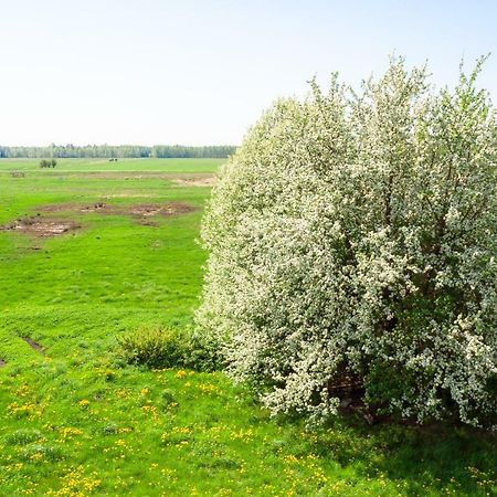 White Camomile Condo Šventoji Kültér fotó