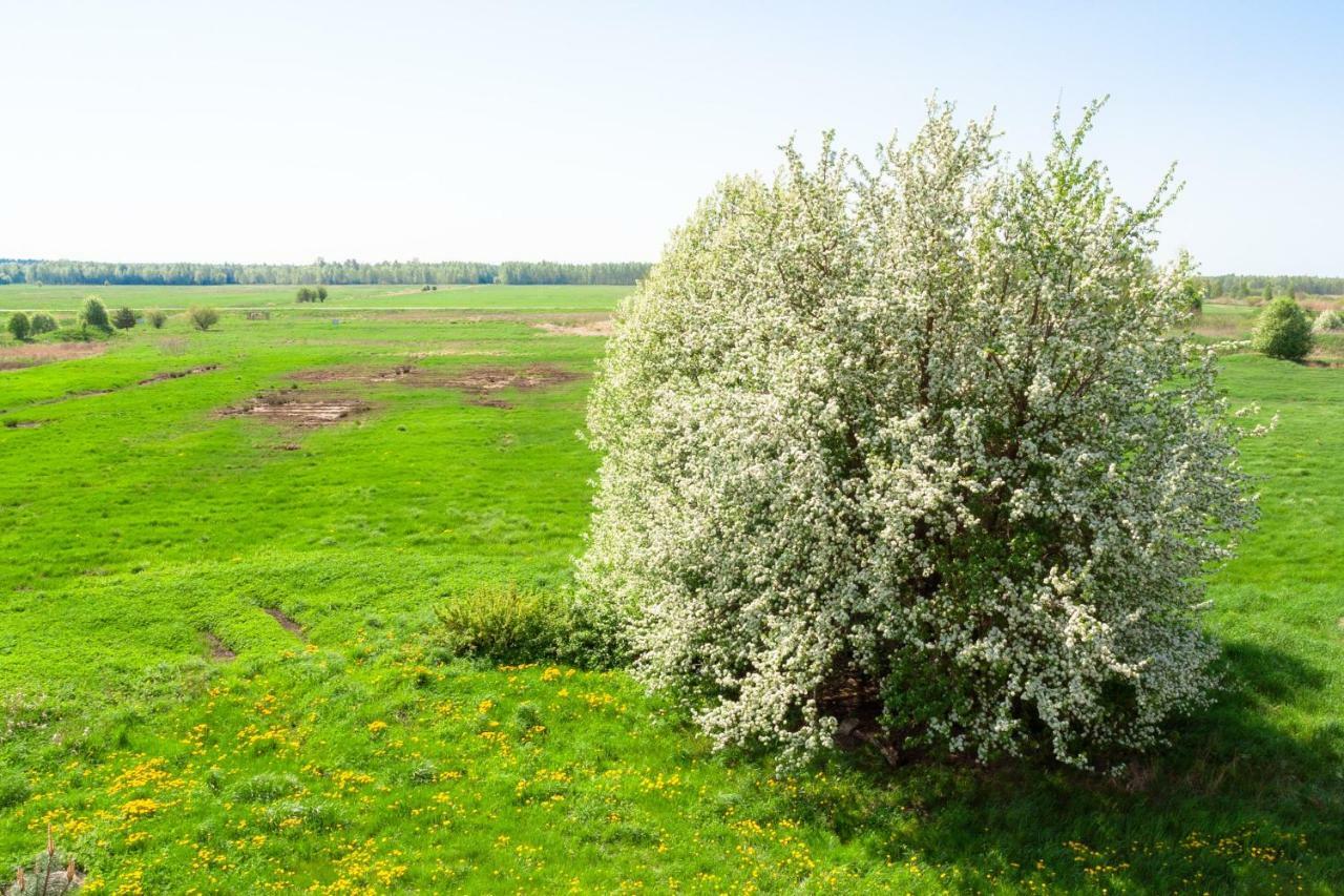 White Camomile Condo Šventoji Kültér fotó